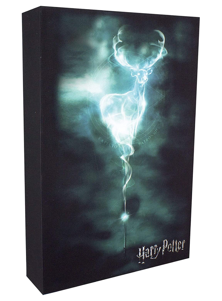 Harry Potter Patronus Luminart