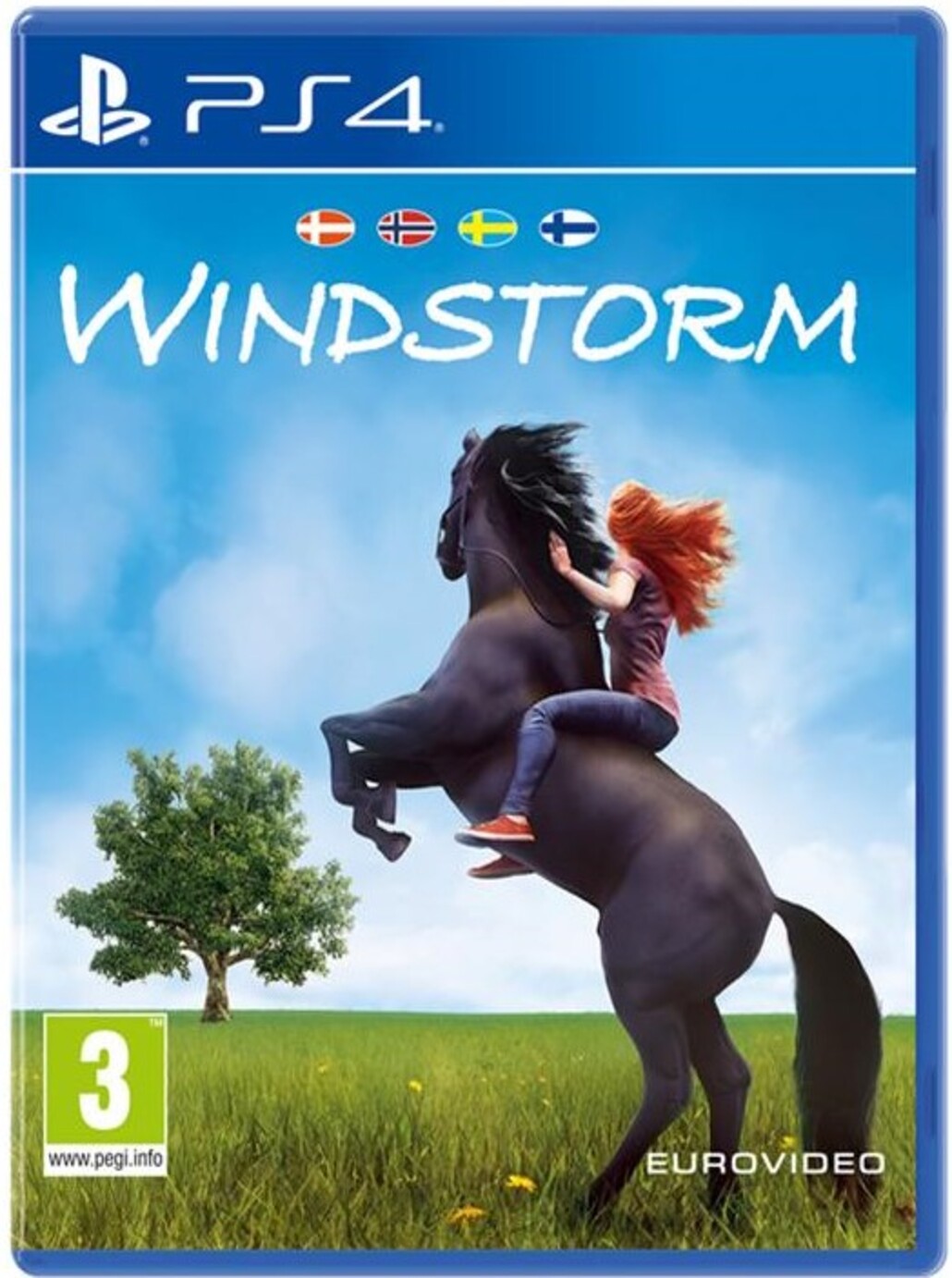 Windstorm /PS4