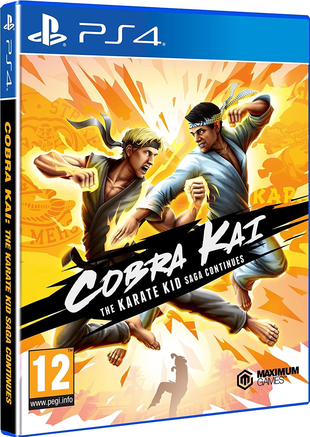 Cobra Kai The Karate Kid Saga PS4