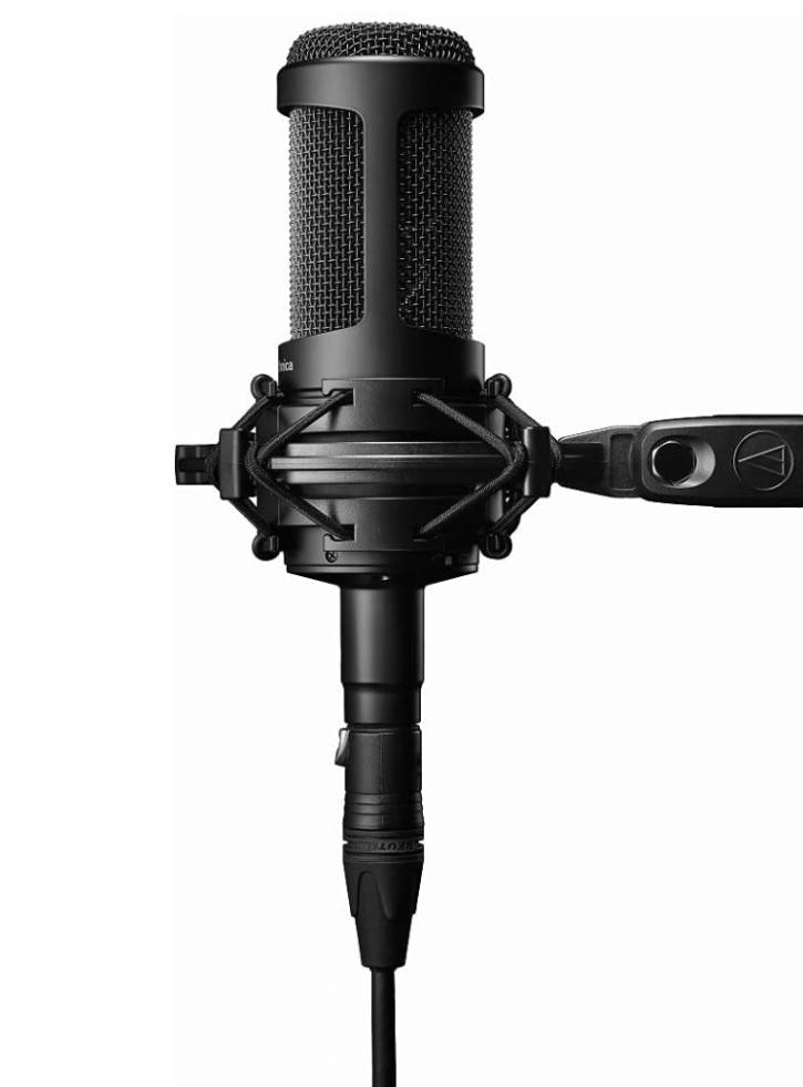 Microfon Audio Technica AT2035 - PC