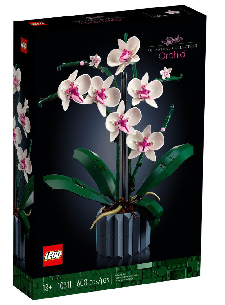 LEGO Icons: Tbd-Icon-Lifestyle (10311)