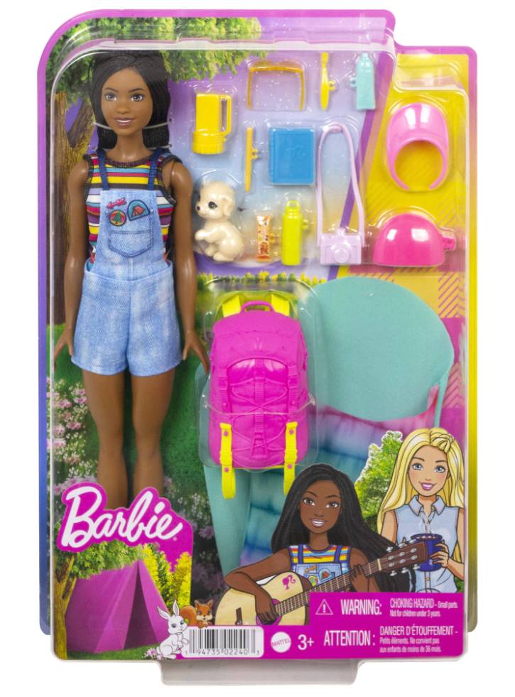 Papusa Barbie & Camping with Puppy Brooklyn (HDF74)