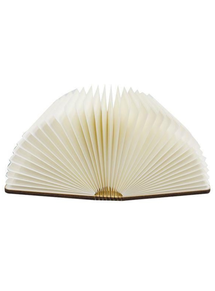 LED Book Light (04810)