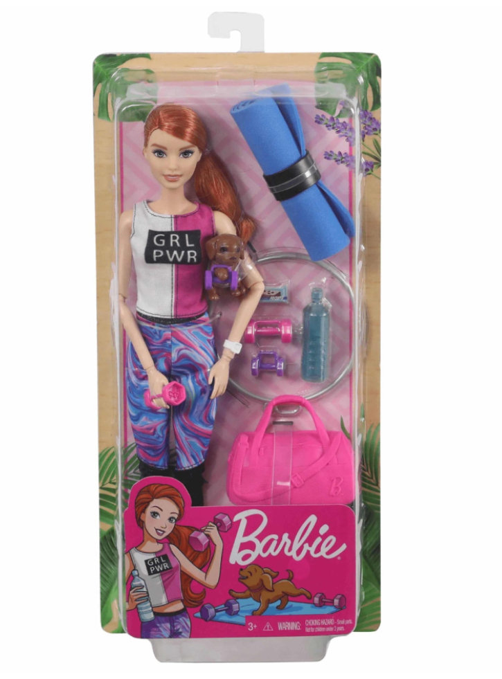 Papusa Barbie Wellness Fitness Puppy & Accessories (GJG57)
