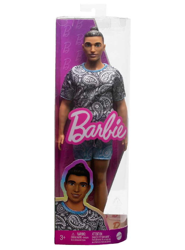 Papusa Barbie Ken Fashionistas Brown Hair in Bun Wearing Paisley Tee & Shorts (HPF80)