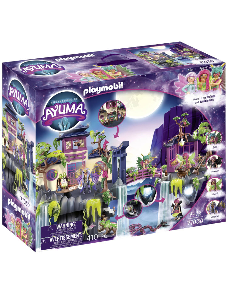Playmobil Fairies Academy (71030)