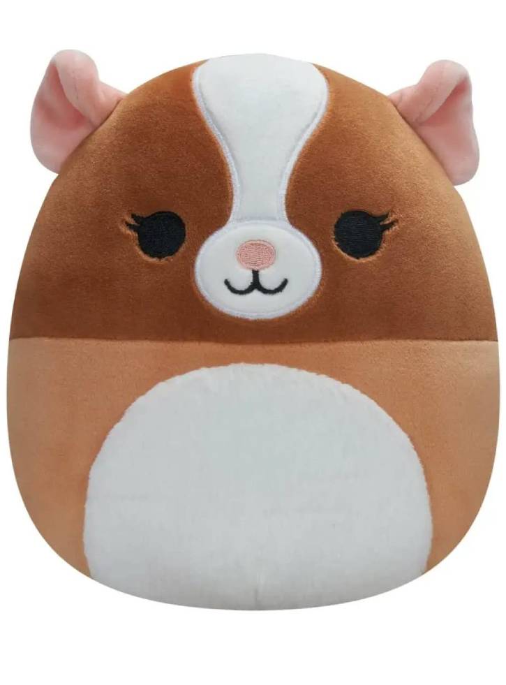 Plus Squishmallows P14 Garret the Guinea Pig 19cm