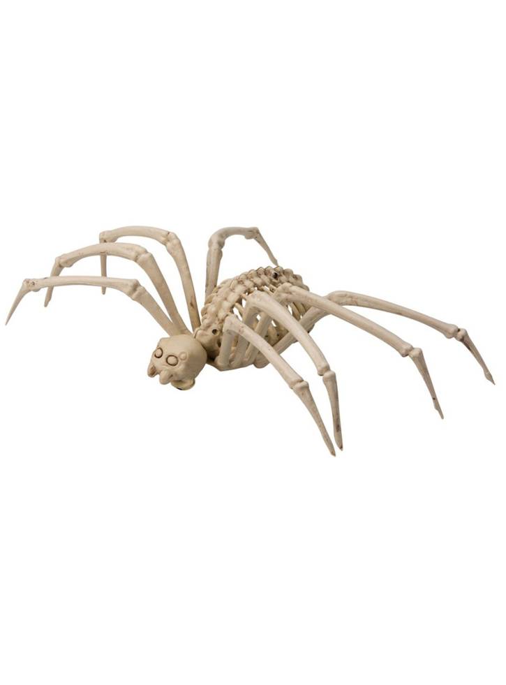 Joker Halloween Skeleton Spider (96173)