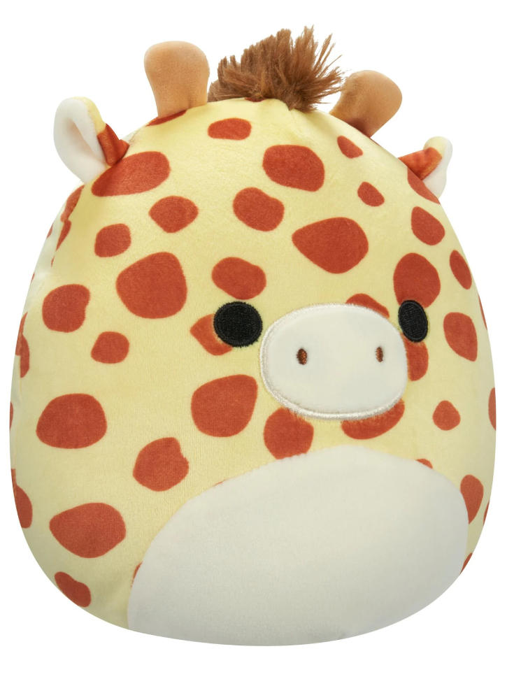 Squishmallows P19 C Gary 19cm