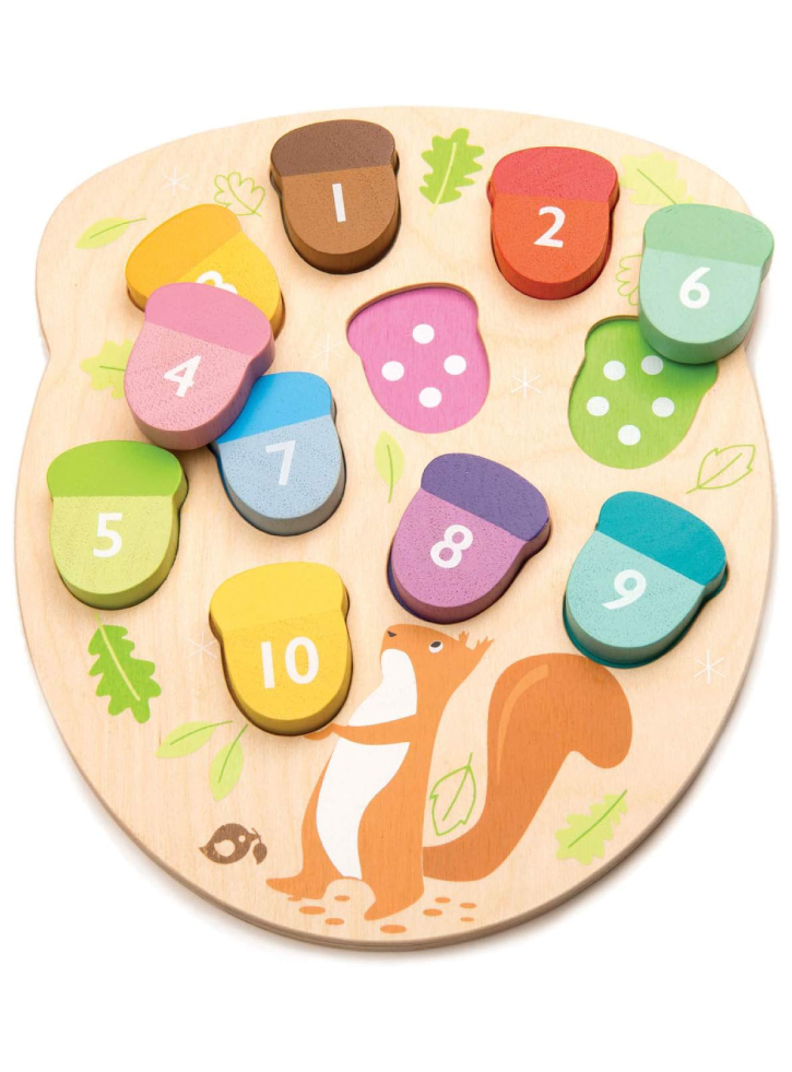 Tender Leaf Learning Numbers How Many Acorns (TL8415)