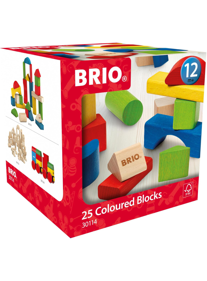 BRIO Coloured Blocks 25 pieces (30114)