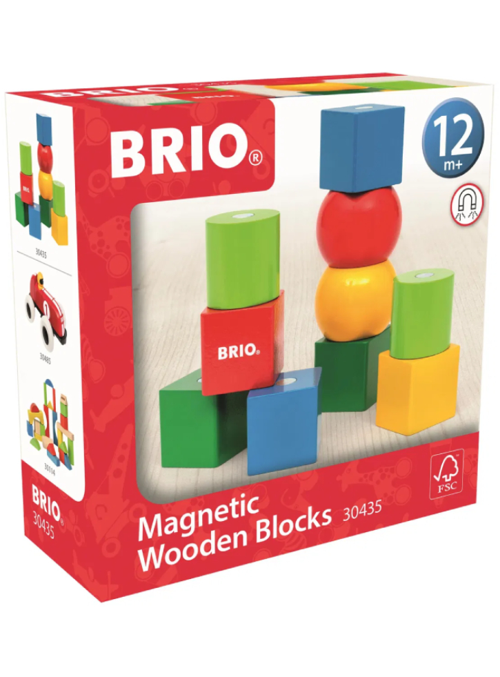 BRIO Magnetic Wooden Blocks (30435)