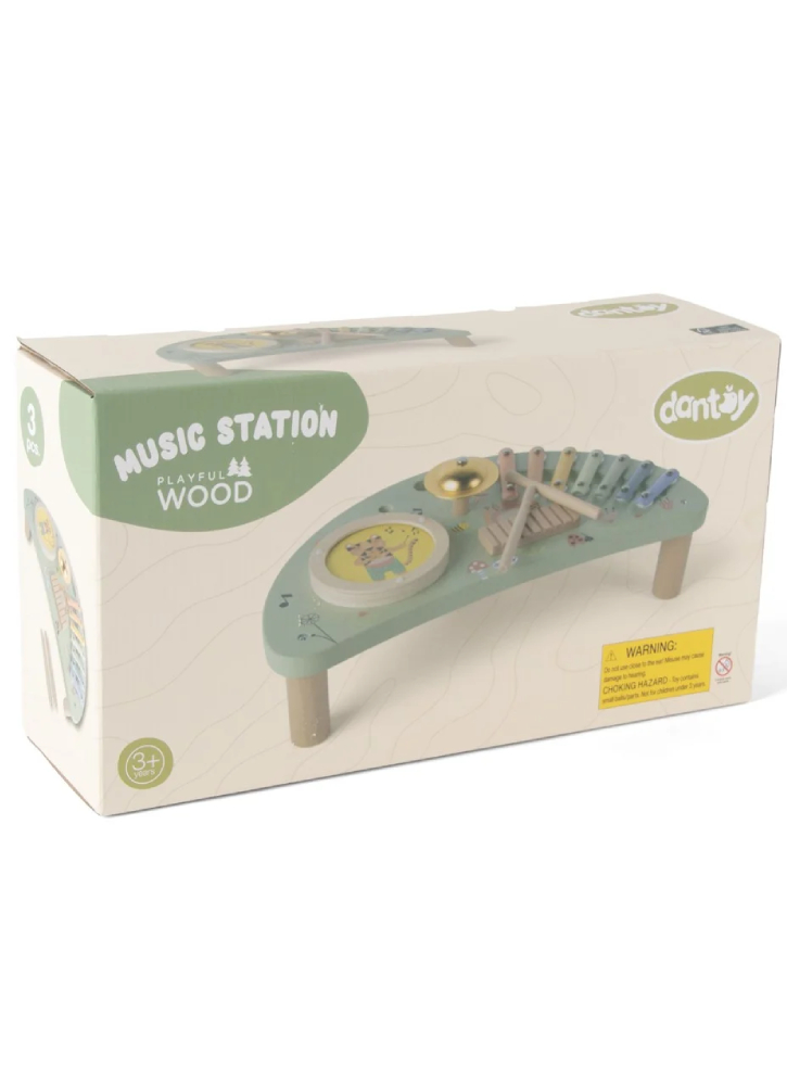 Dantoy Music center (4776)