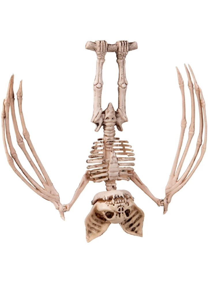 Halloween Skeleton Bat (96175)