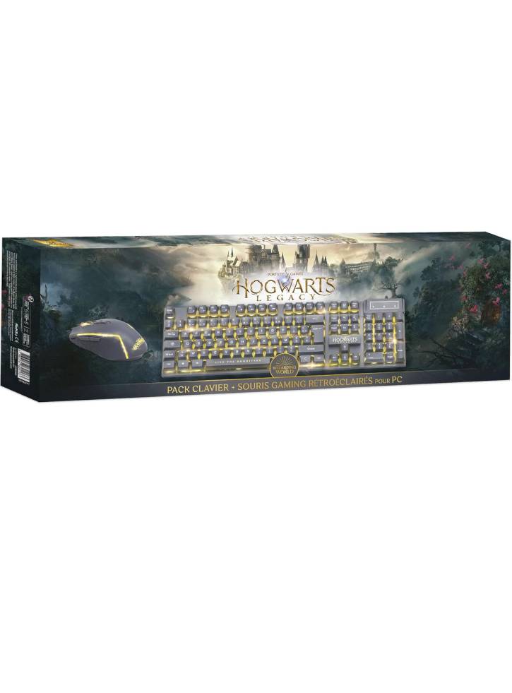Pack Keyboard + Mouse Harry Potter Azerty - Playstation 4