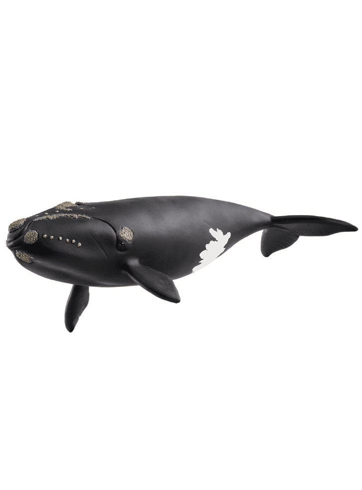 Schleich North Atlantic Right Whale (14878)