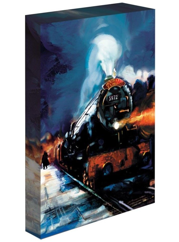 Light Up Canvas Harry Potter (Hogwarts Express) 30x40