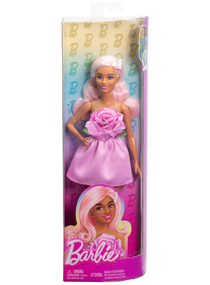 Barbie Fashionista Doll Pink Rose (HYT94)