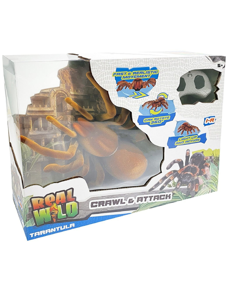 Real Wild Giant Tarantula Spider (20316)