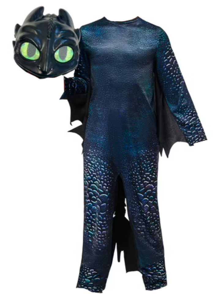 Rubies Classic costume Toothless (110-116 cm)