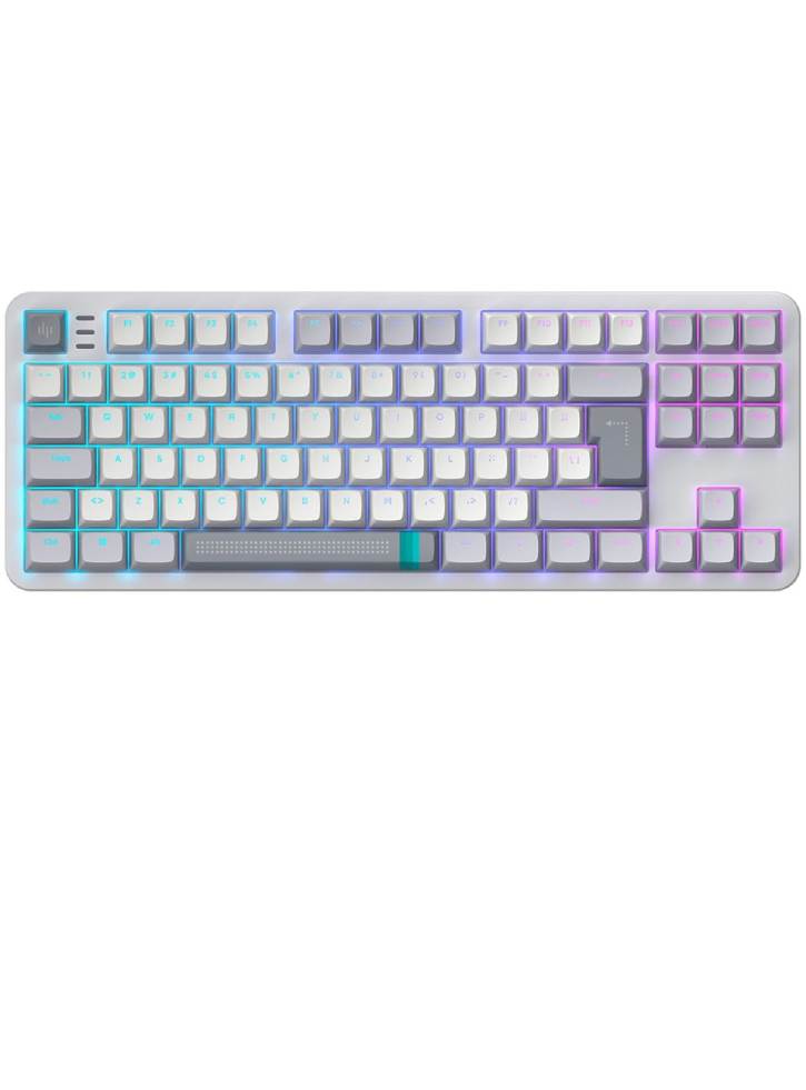 Dark Project Daylight 87 Keyboard RGB - PC