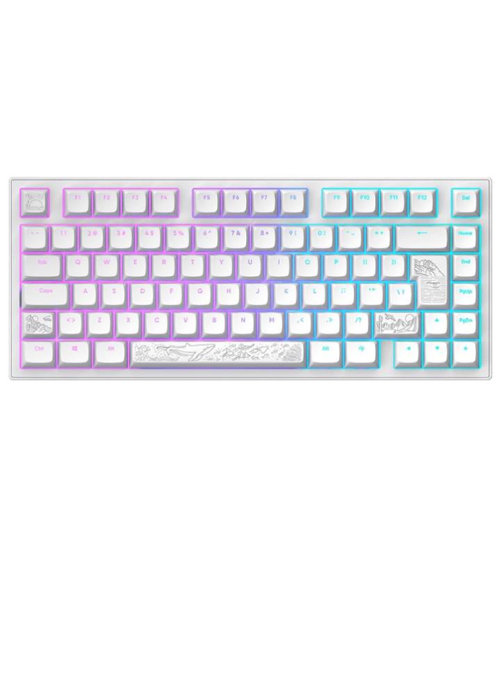 Dark Project Nostra Keyboard White 81 RGB - PC
