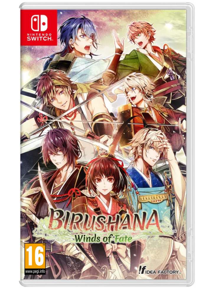 Birushana Winds of Fate - Nintendo Switch