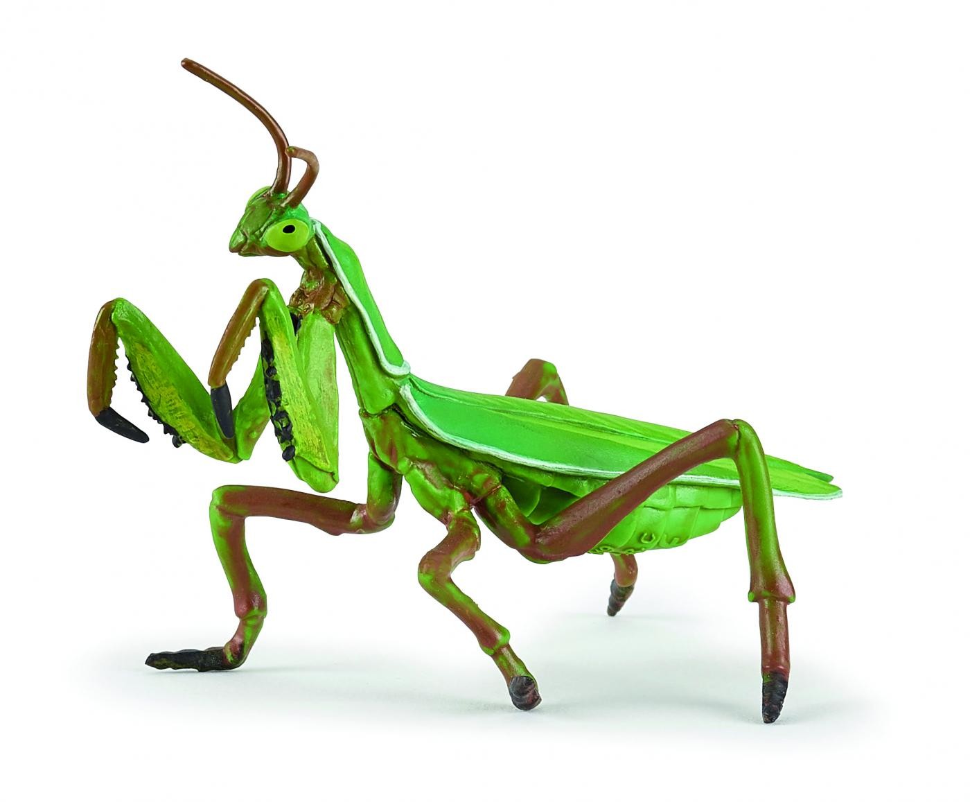 Papo Calugarita